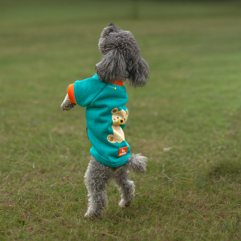 HUFT Sunny Bear Sweatshirt For Small Dog - Green - Heads Up For Tails