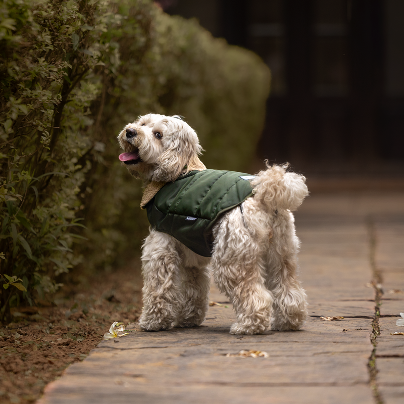 HUFT Puffer Paws Jacket For Big Dog - Green - Heads Up For Tails