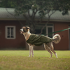 HUFT Puffer Paws Jacket For Big Dog - Green - Heads Up For Tails