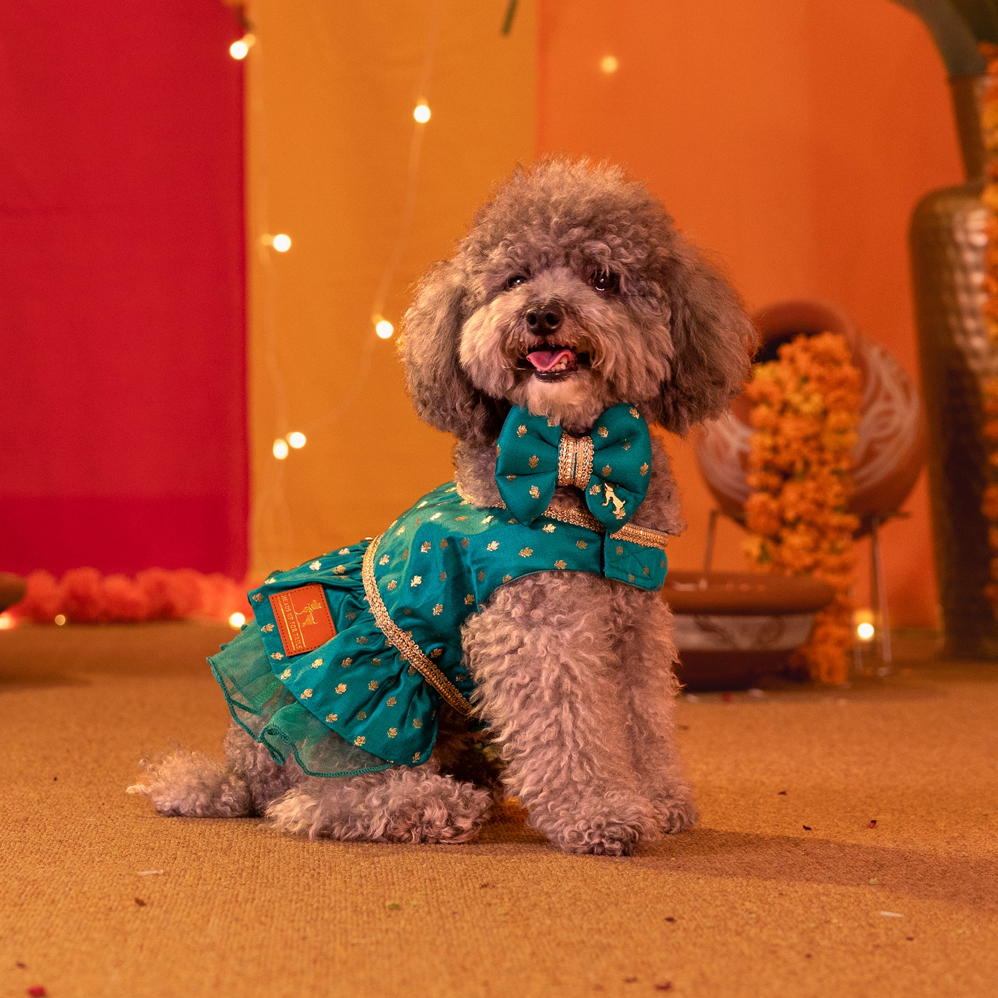 HUFT Desi Dazzle Bow Tie For Dog - Green - Heads Up For Tails