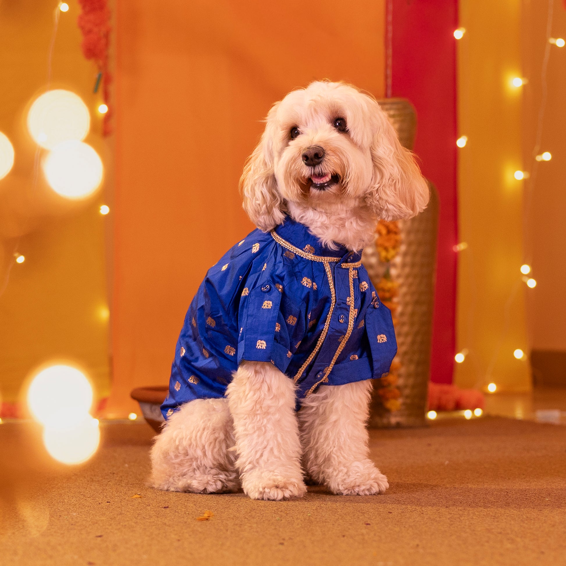 HUFT Royal Elephant Brocade Kurta For Dog & Cat - Navy Blue - Heads Up For Tails