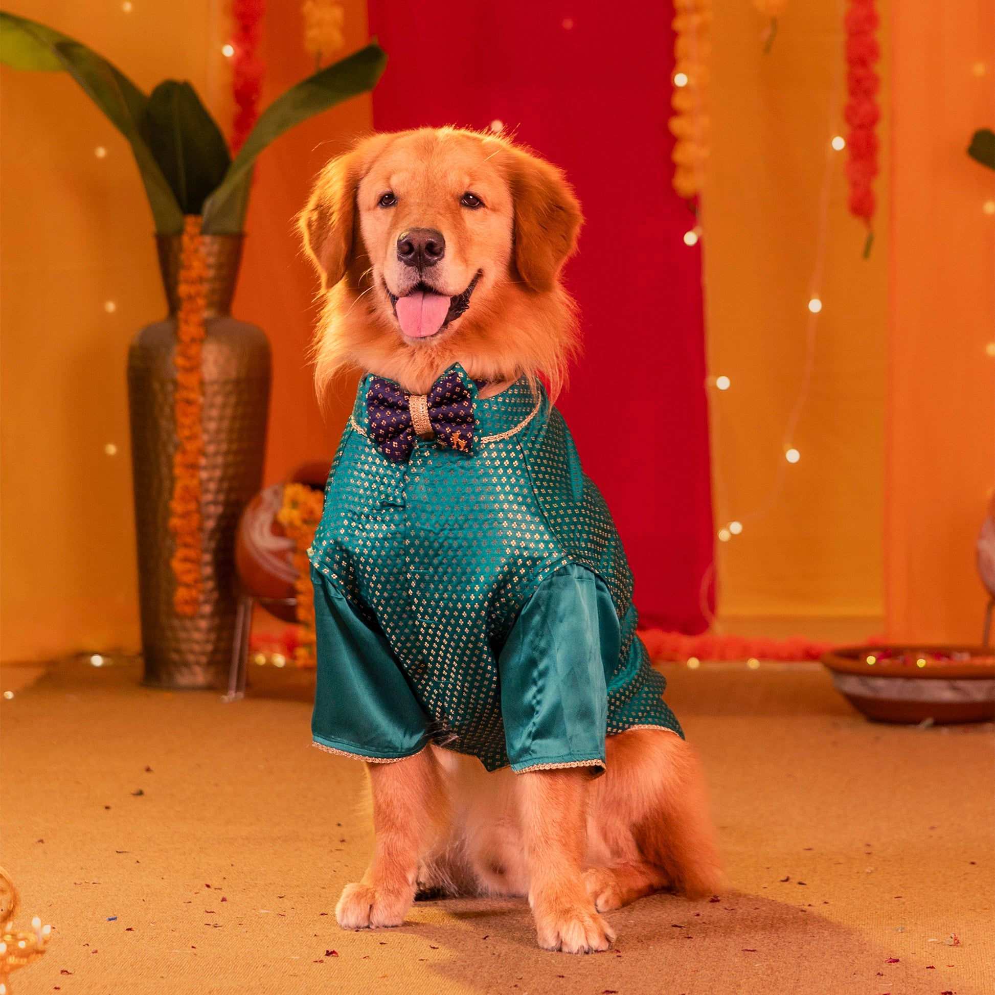 HUFT Shahi Paws Bow Tie With Strap For Dog - Blue & Green - Heads Up For Tails