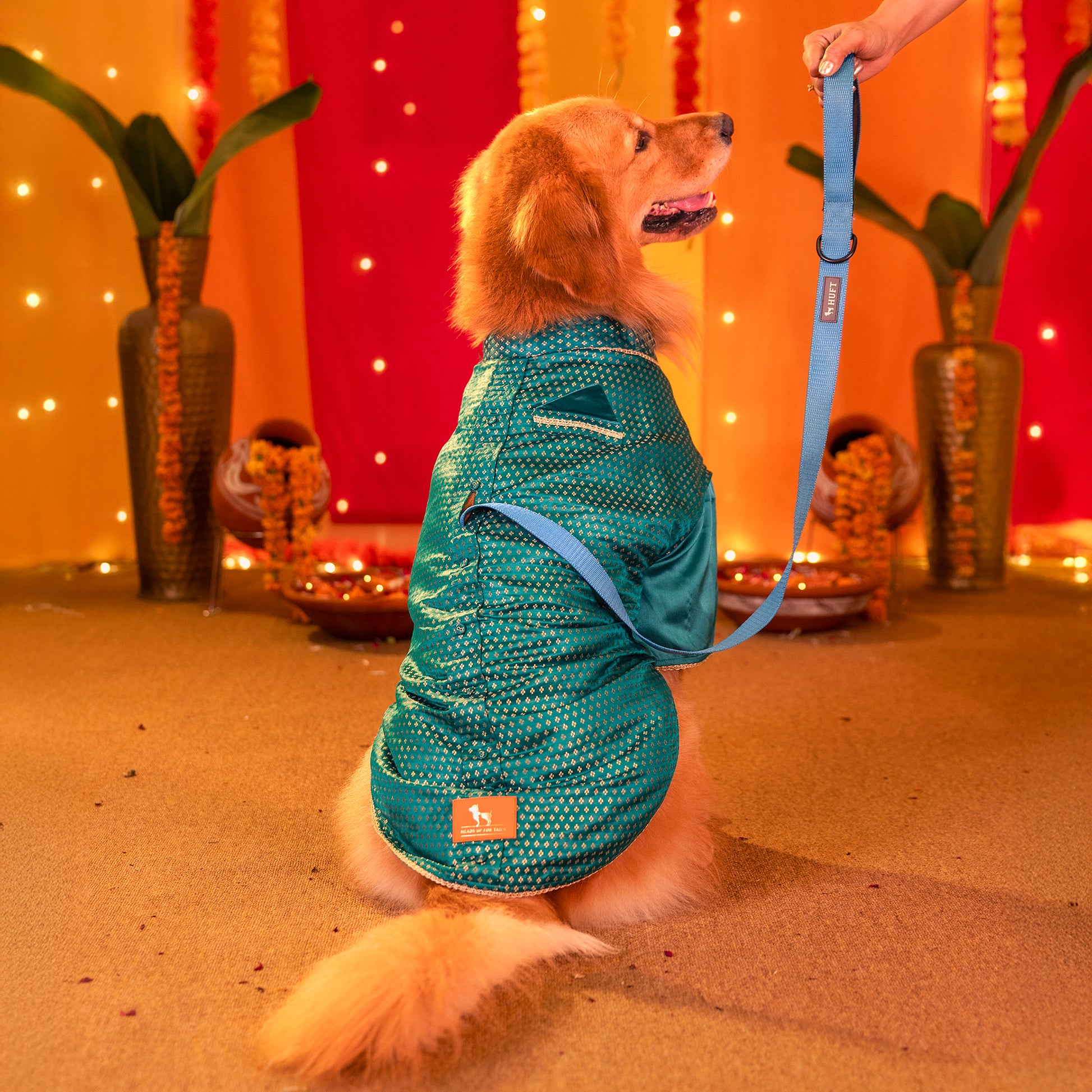 HUFT Shahi Paws Kurta For Dog & Cat - Green - Heads Up For Tails