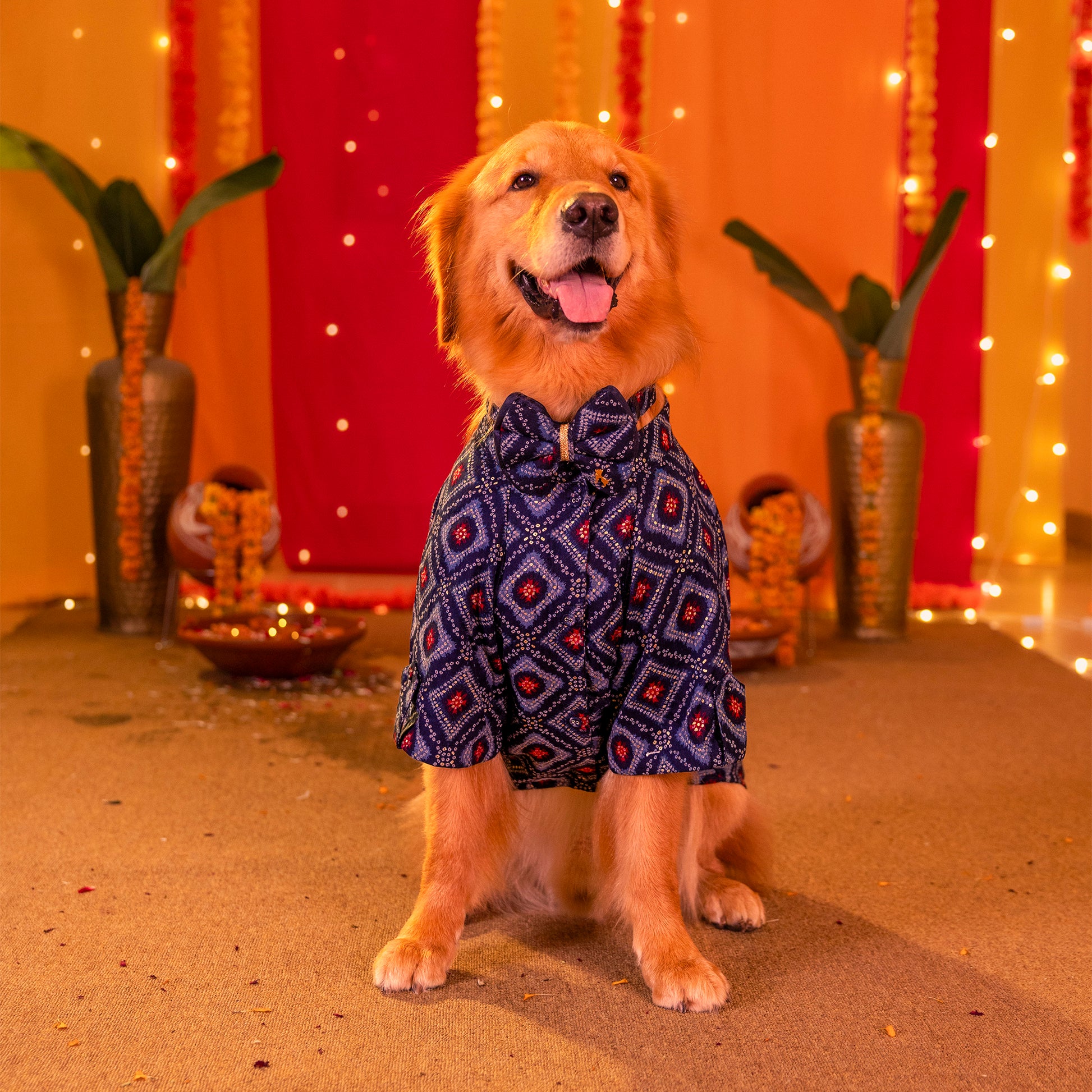 HUFT Rang Riwaz Kurta For Dog & Cat - Blue - Heads Up For Tails