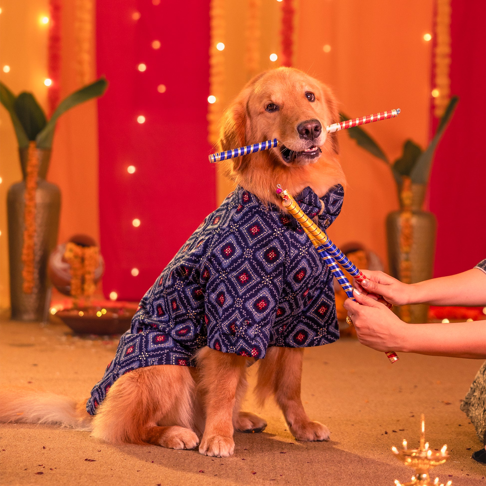 HUFT Rang Riwaz Kurta For Dog & Cat - Blue - Heads Up For Tails