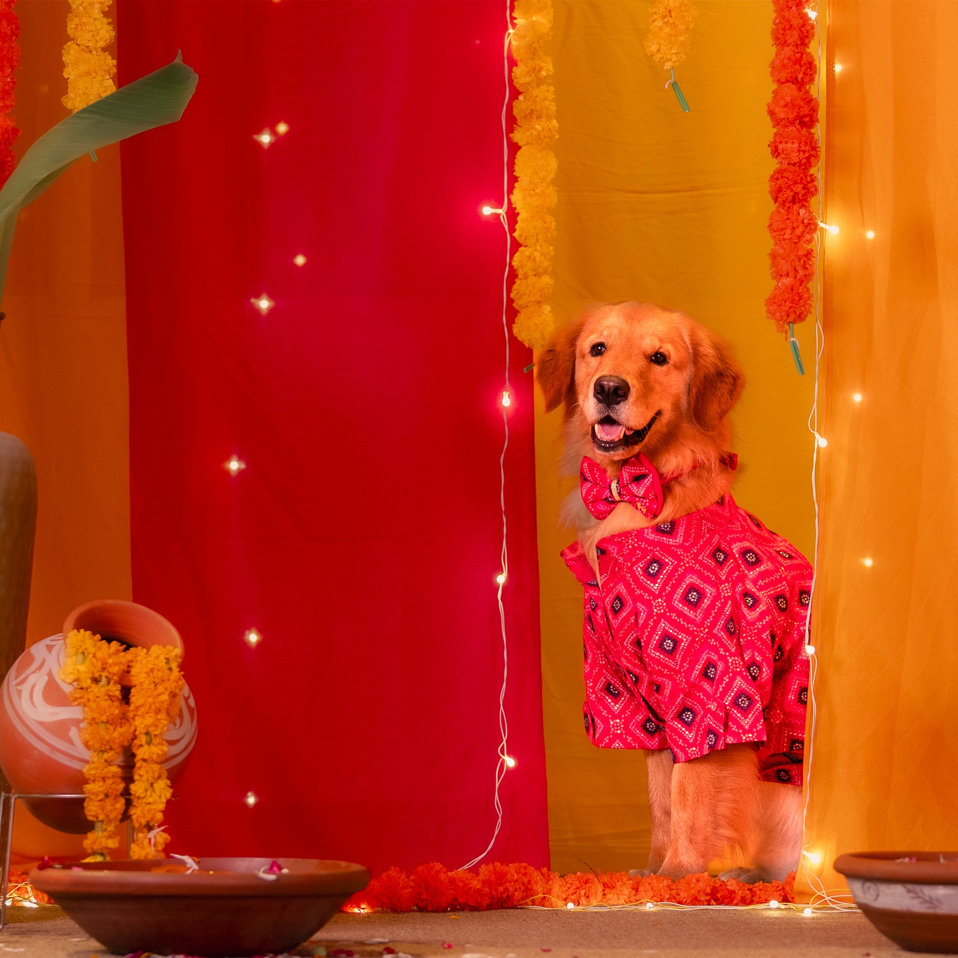 HUFT Rang Riwaz Kurta For Dog & Cat - Pink - Heads Up For Tails