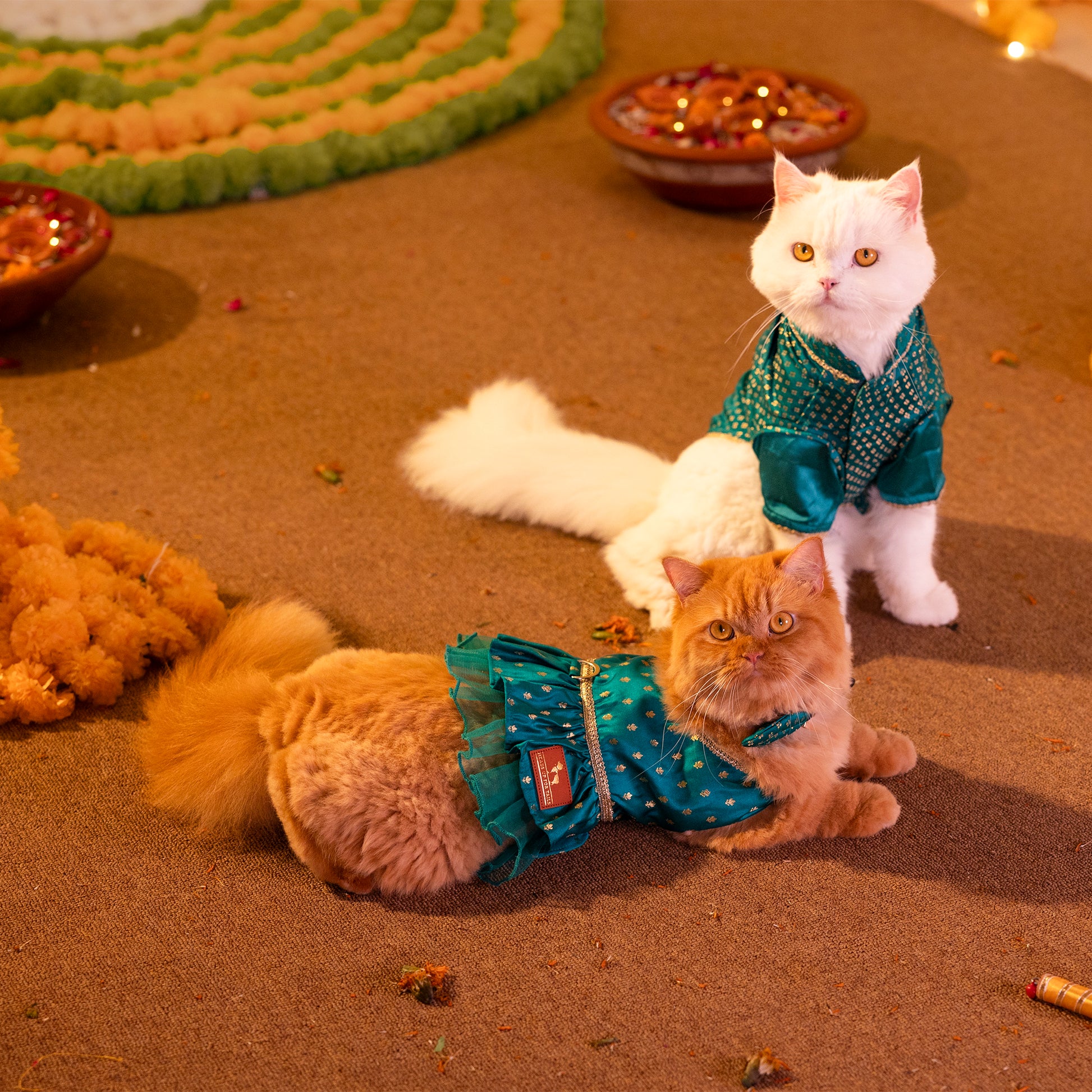 HUFT Desi Dazzle Dress For Dog & Cat - Green - Heads Up For Tails