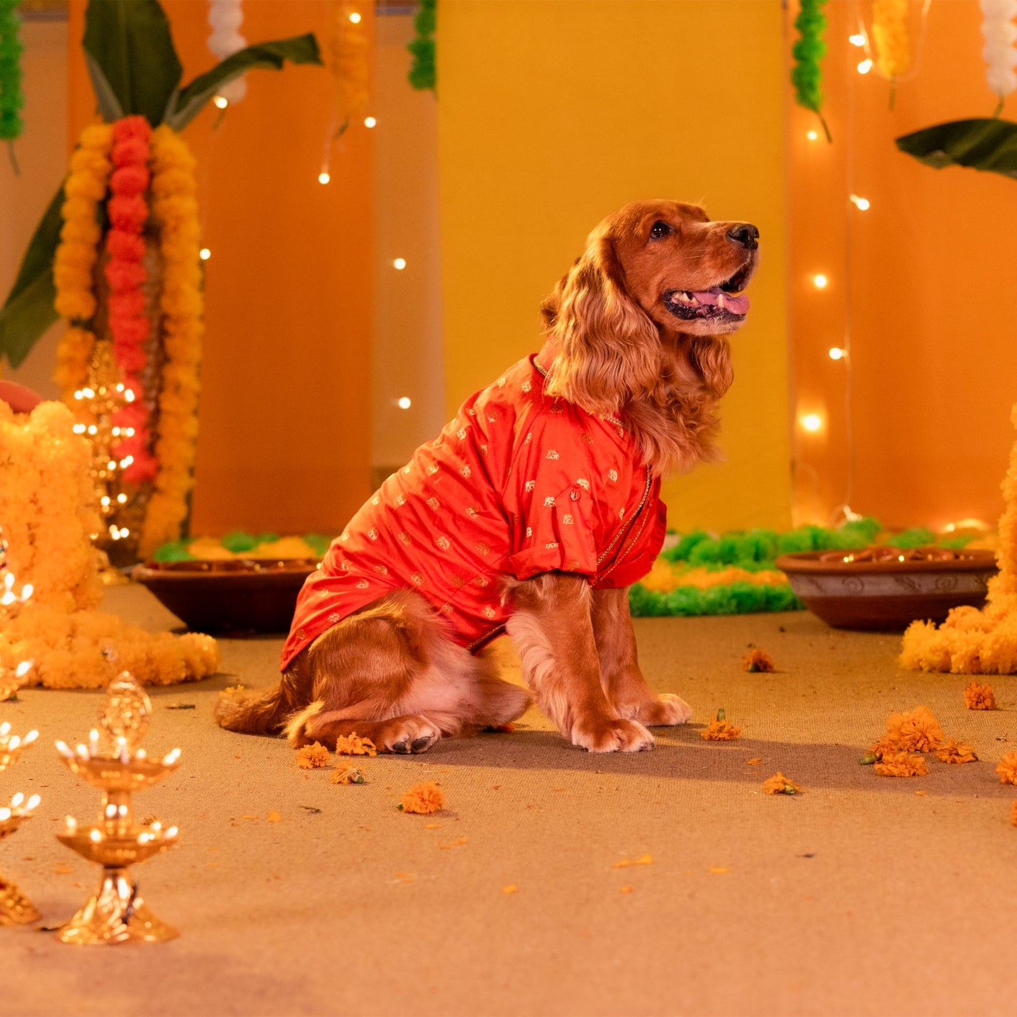 HUFT Royal Elephant Brocade Kurta For Dog & Cat - Orange - Heads Up For Tails