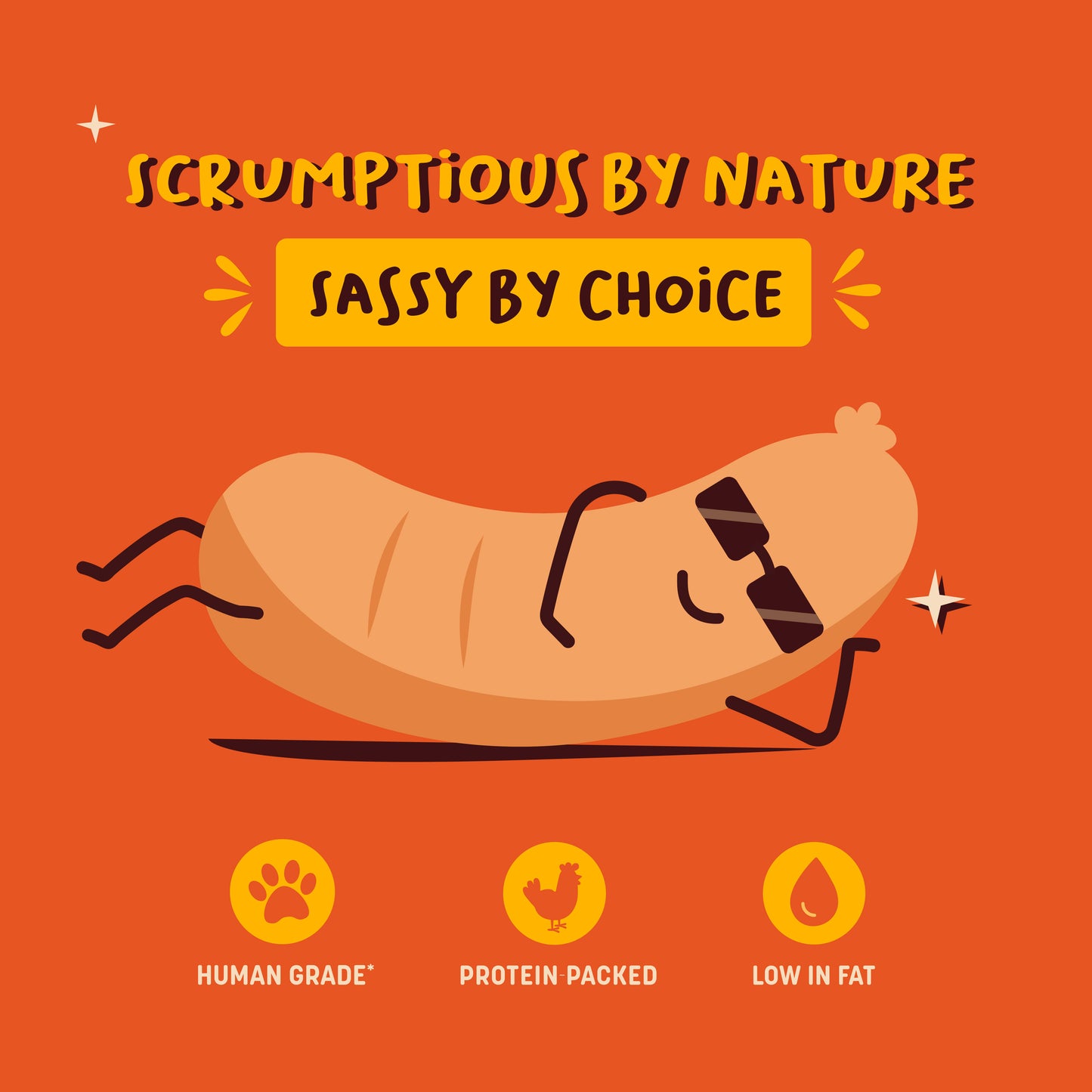 HUFT Sassy Sausage Smokey With Real Chicken Air-Dried Dog Treats - 100 g_03