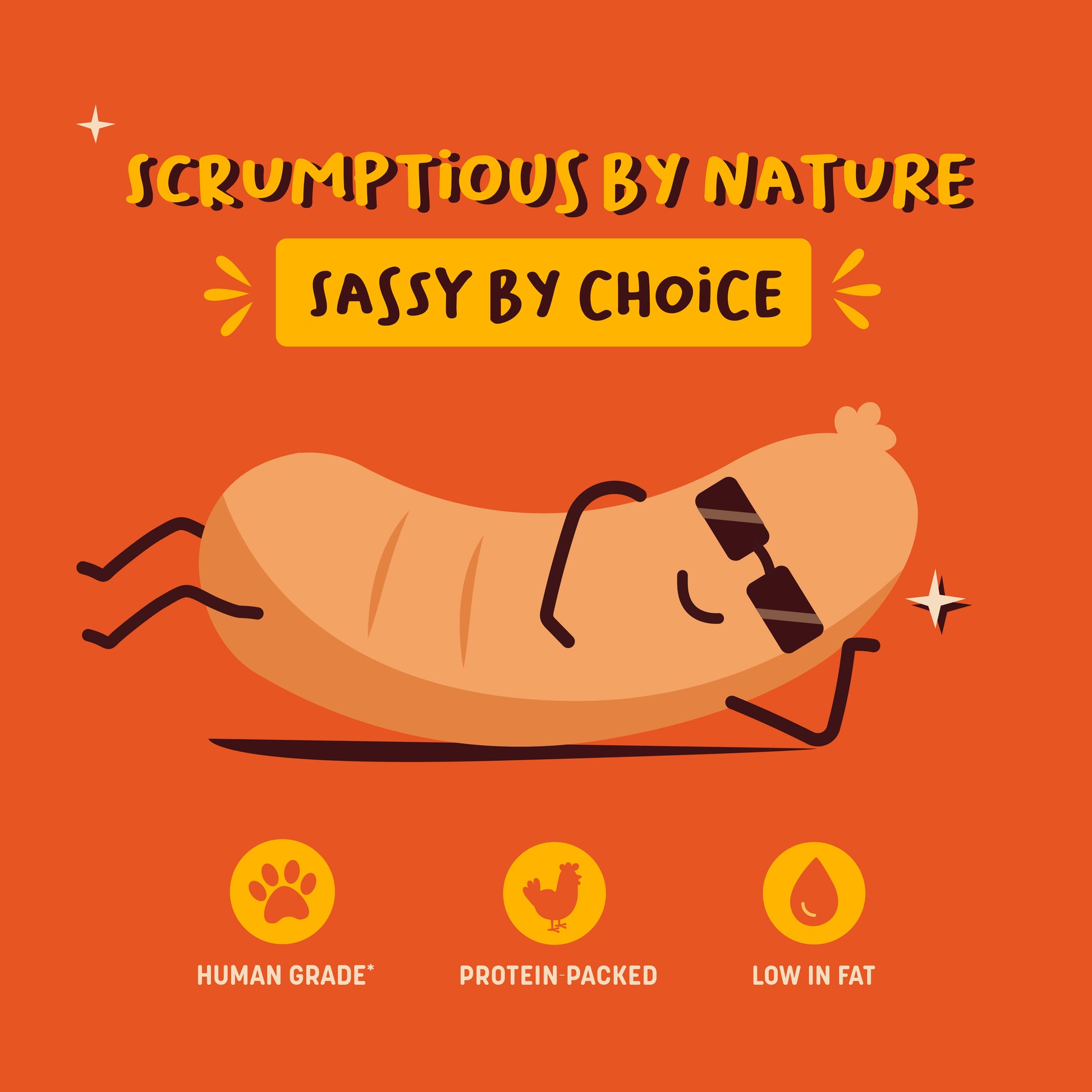 HUFT Sassy Sausage Smokey With Real Chicken Air-Dried Dog Treats - 100 g_03