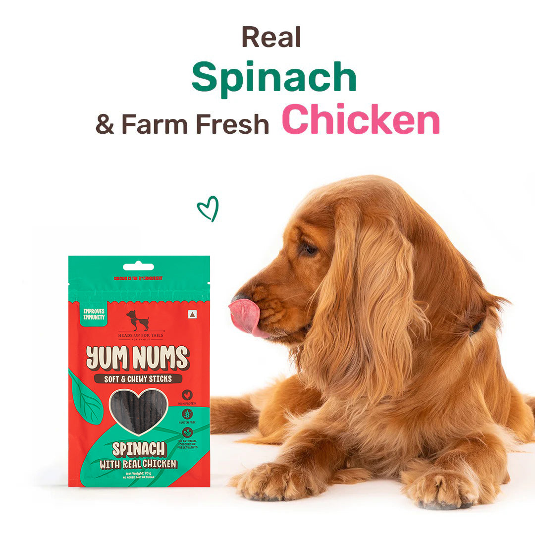 HUFT Yum Nums Dog Treats Soft & Chewy Sticks Spinach With Real Chicken - 70 gm - Heads Up For Tails