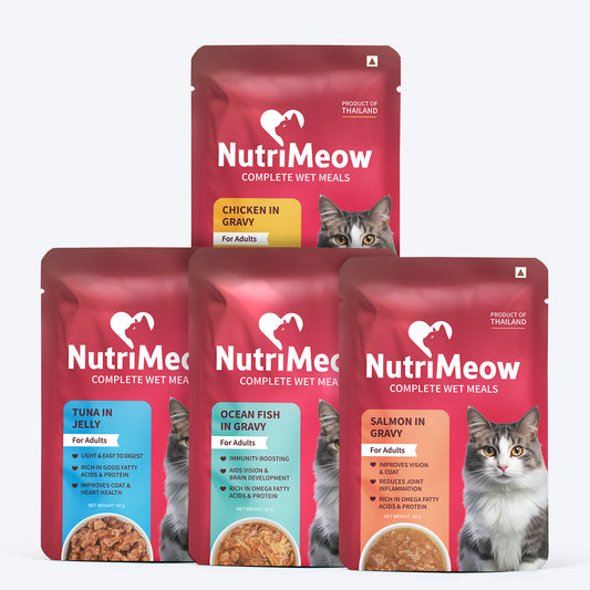NutriMeow All in One Combo Wet Food for Adult Cat – Ocean Fish, Chicken, Salmon in Gravy & Tuna in Jelly - 80 gm - Heads Up For Tails