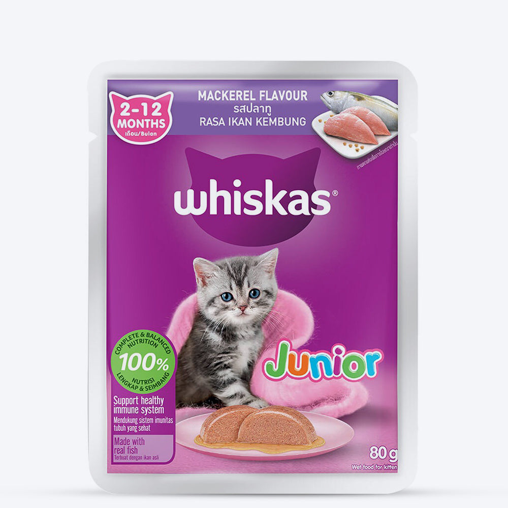 Whiskas Mackerel In Jelly Wet Food For Junior (2-12 Months) Kitten - 80 gm Pack - Heads Up For Tails