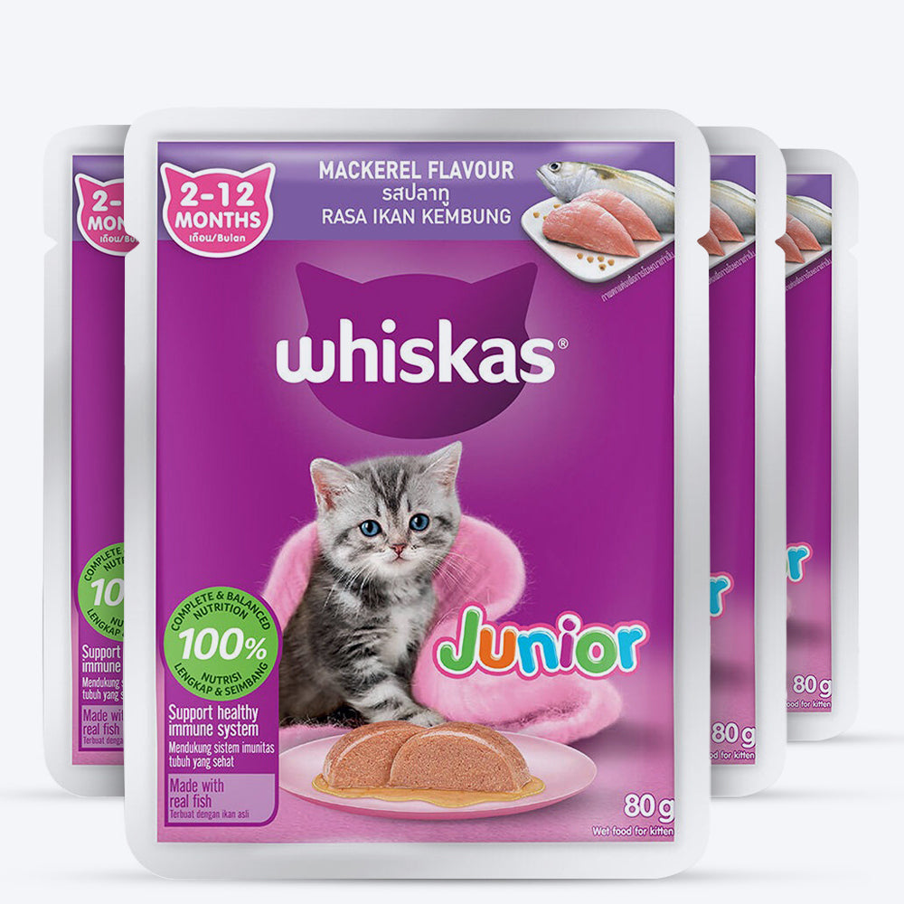 Whiskas Mackerel In Jelly Wet Food For Junior (2-12 Months) Kitten - 80 gm Pack - Heads Up For Tails