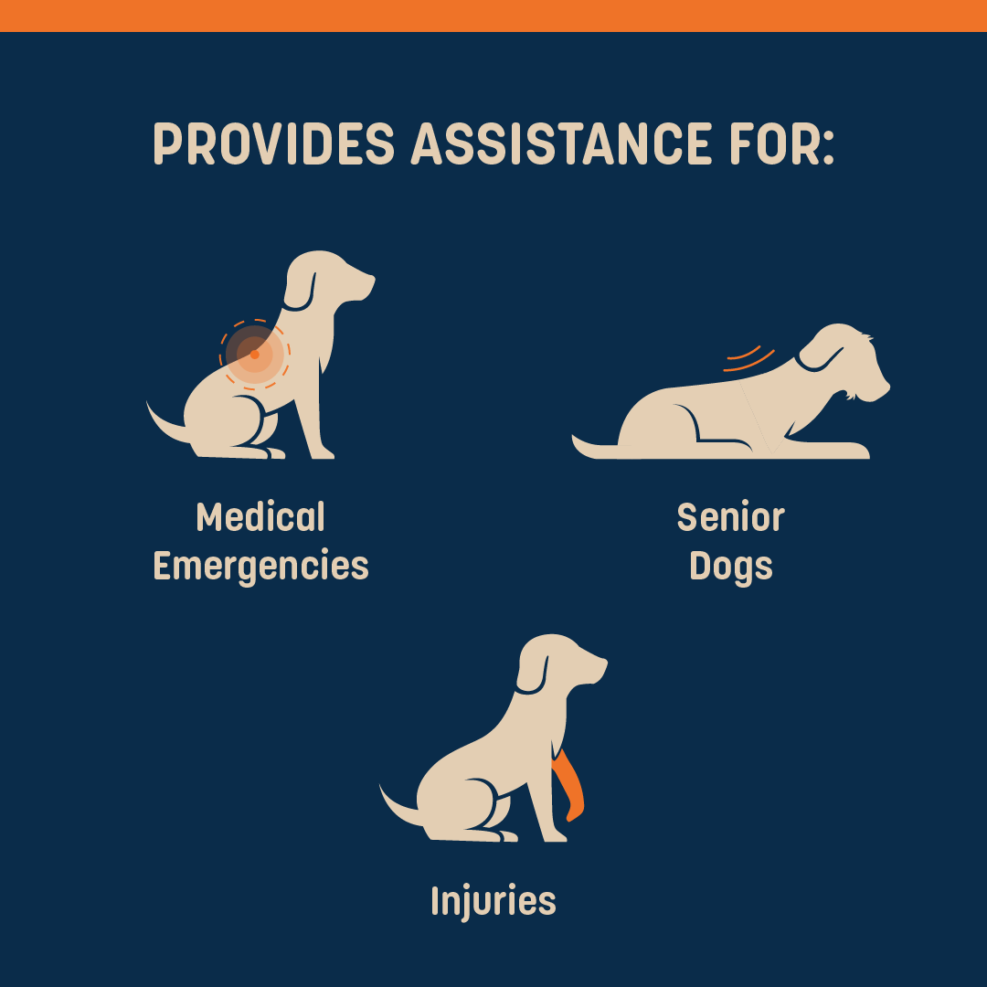 HUFT Trooper Stretcher For Dog - Navy Blue - Heads Up For Tails