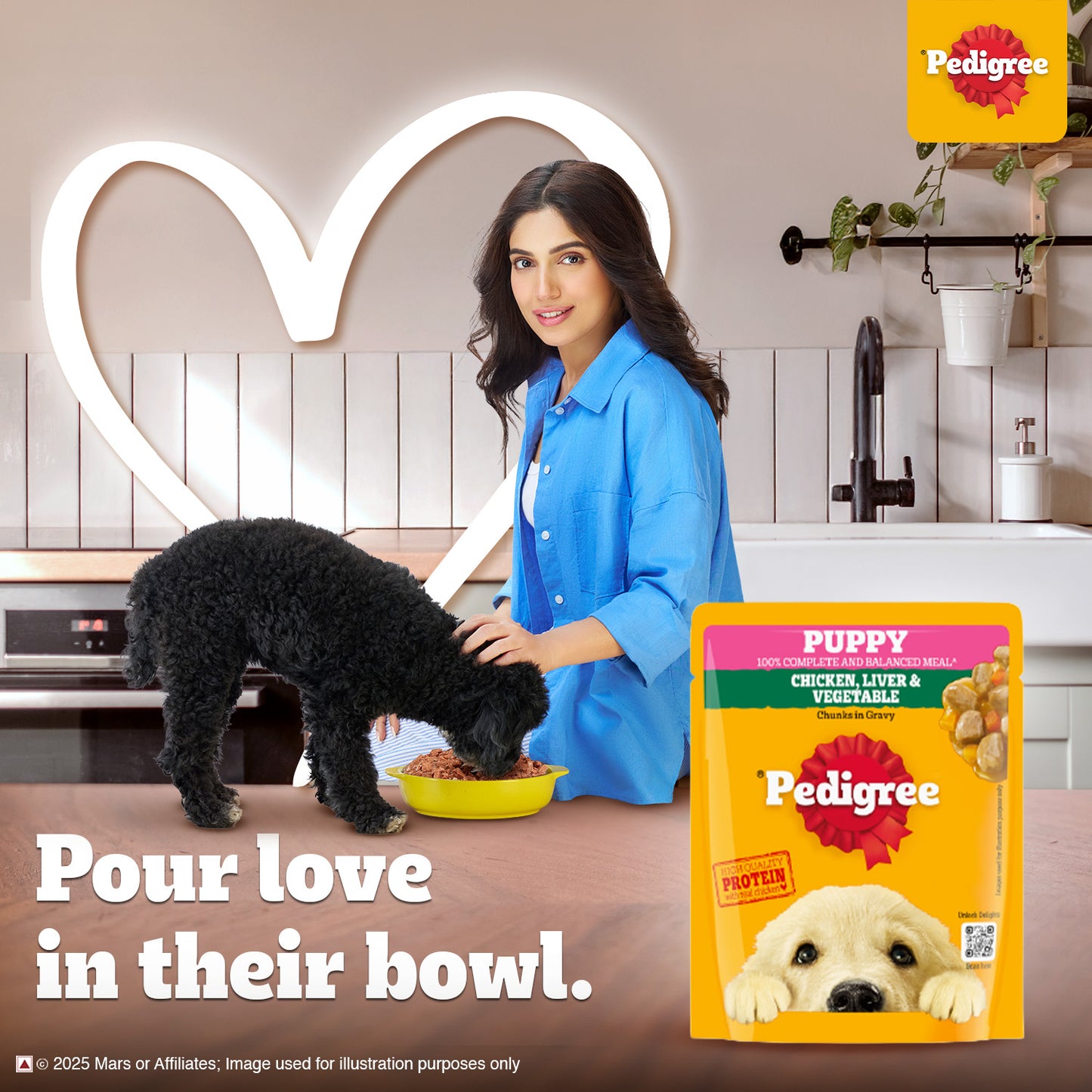 Pedigree Chicken & Liver Chunks in Gravy with Vegetables Wet Puppy Food - 70Gm Packs - Heads Up For Tails