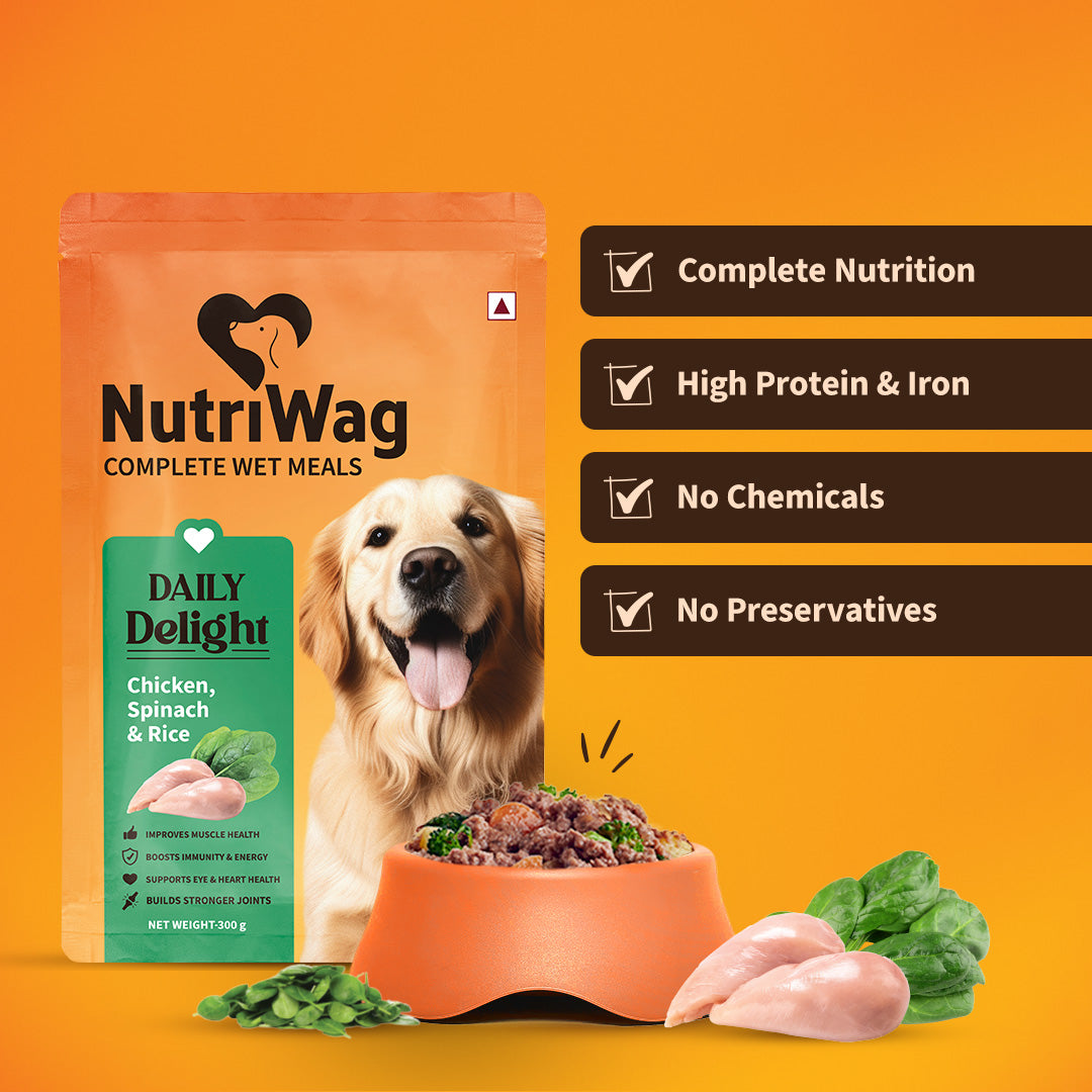 NutriWag Complete Wet Meals With Chicken, Rice & Spinach For Dog - 300g