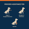 HUFT Trooper E-Collar For Dog - Navy Blue - Heads Up For Tails