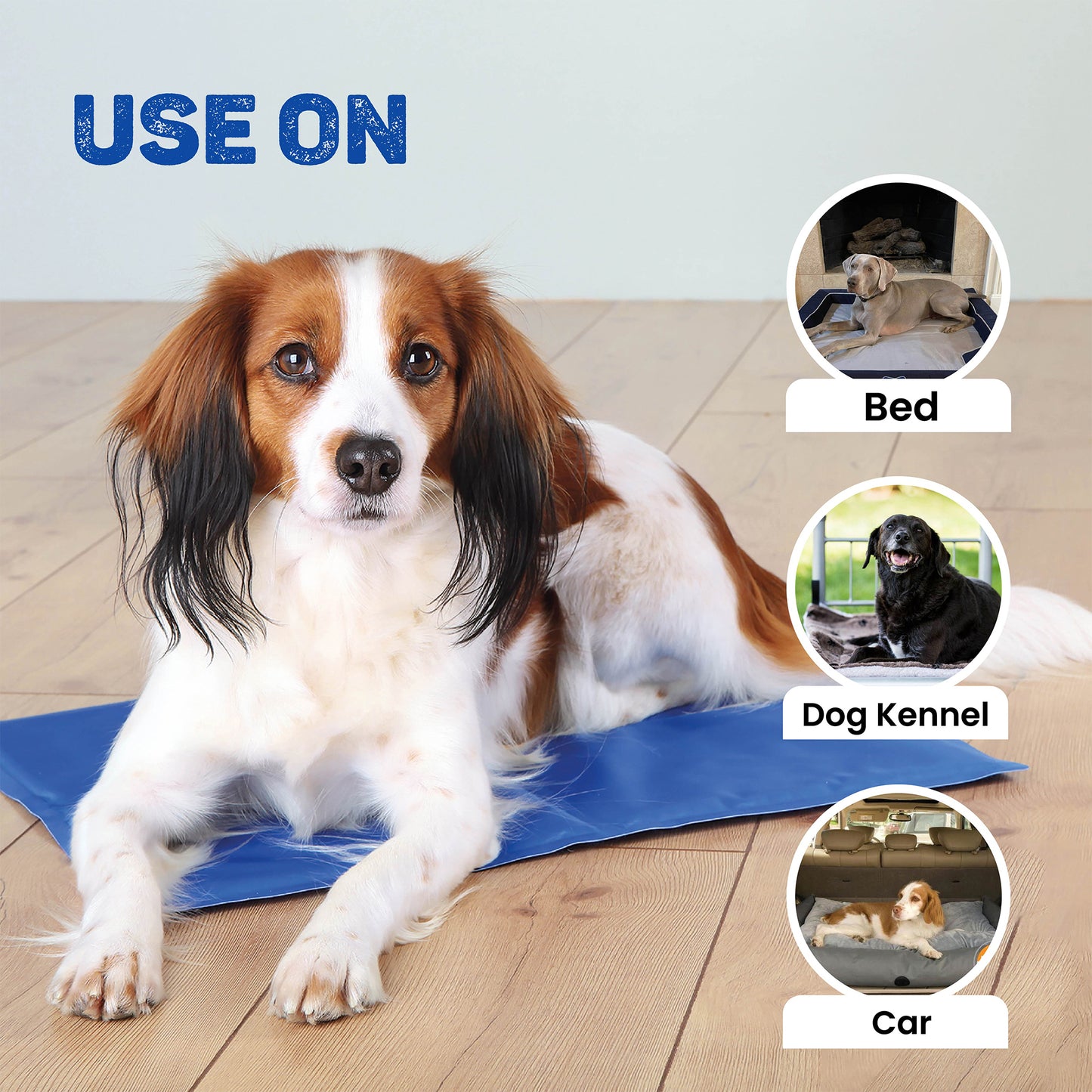 Trixie Cooling Mat For Dogs - Blue - Heads Up For Tails