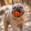 Chuckit! Breathe Right Ball Fetch Toy For Dog - Orange - S - Set Of 2 - Heads Up For Tails