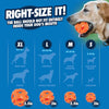 Chuckit! Breathe Right Ball Fetch Toy For Dog - Orange - S - Set Of 2 - Heads Up For Tails