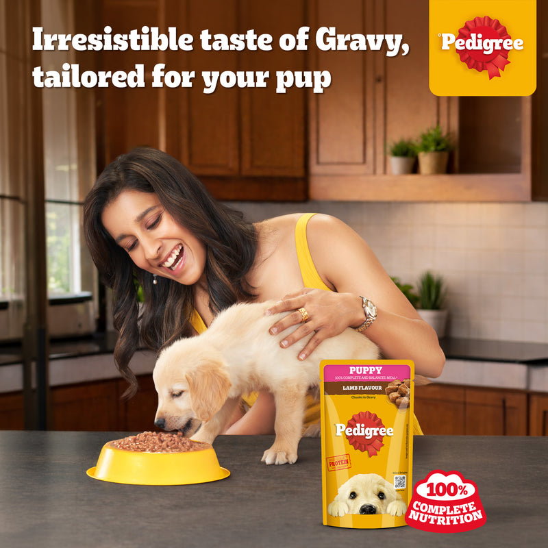 Pedigree Lamb Flavour Chunks In Gravy Puppy Wet Dog Food - 130 g