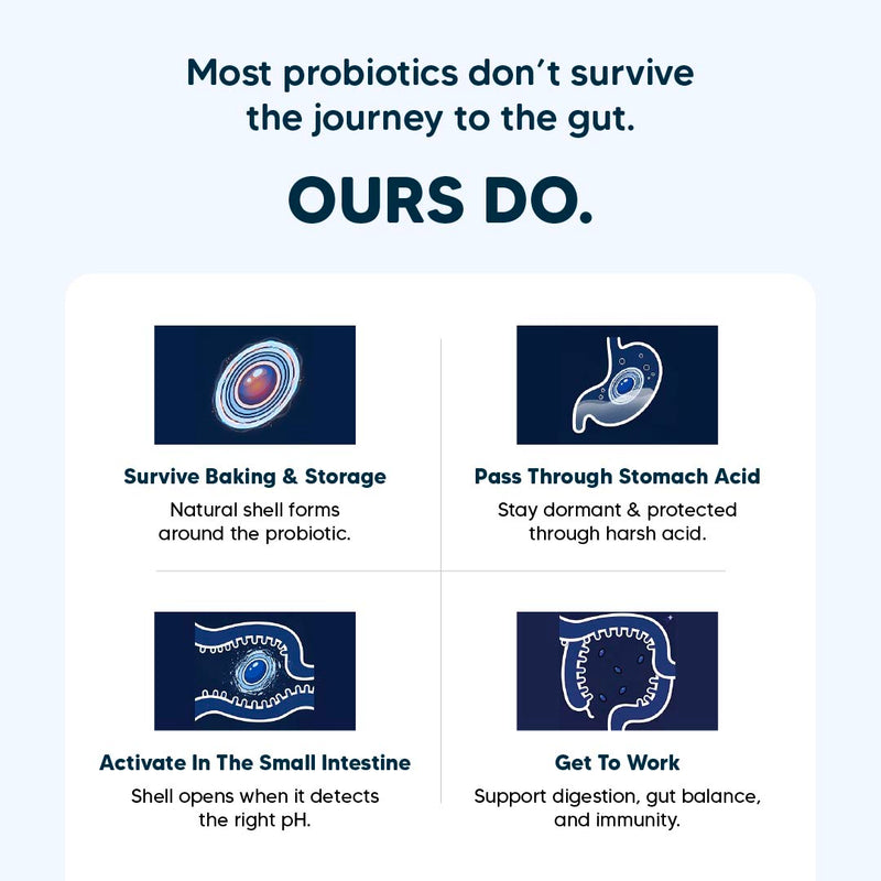 Sara’s Daily Probiotic Chews for Dogs : Total Gut Protection - 70 gm