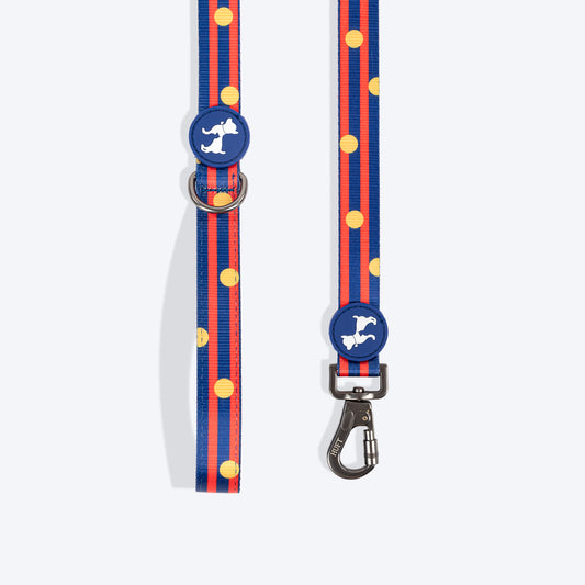 HUFT Playstripes Leash For Dog - Rust & Navy - Heads Up For Tails