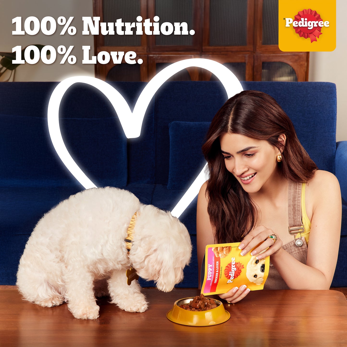 Pedigree Chicken & Liver Chunks in Gravy with Vegetables Wet Puppy Food - 70Gm Packs