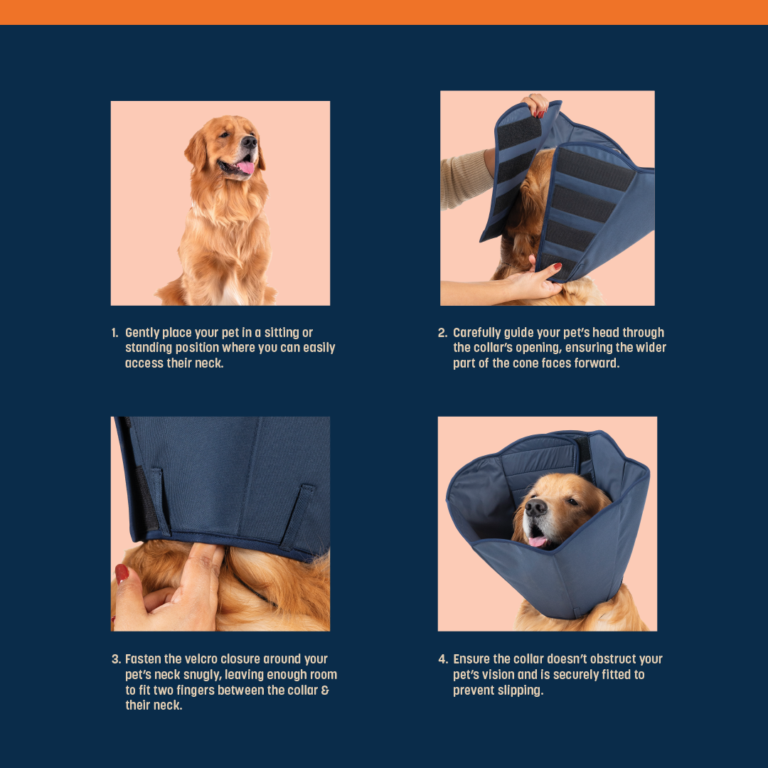 HUFT Trooper E-Collar For Dog - Navy Blue - Heads Up For Tails