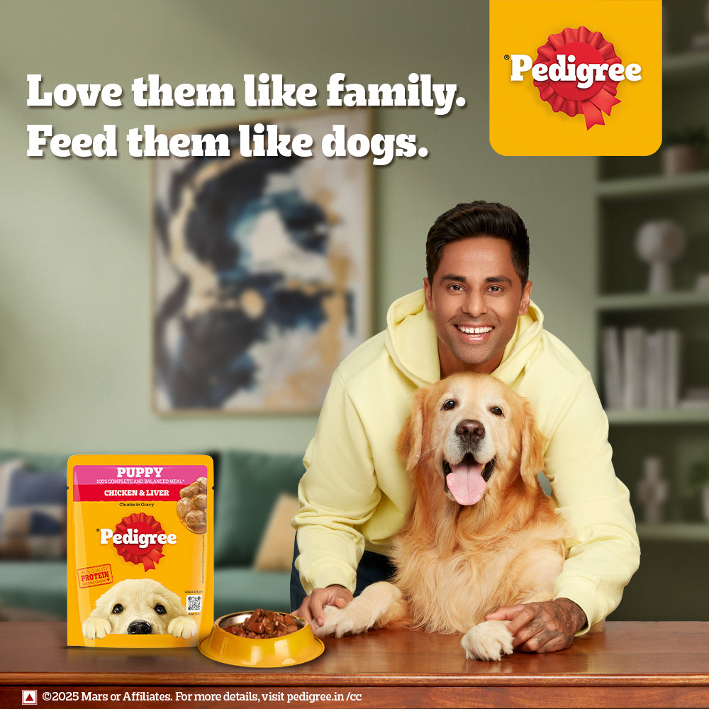 Pedigree Chicken & Liver Chunks in Gravy Wet Puppy Food - 70 g packs - Heads Up For Tails