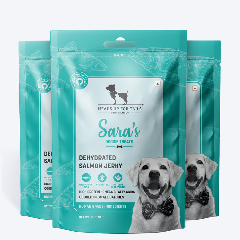 Sara's Doggie Treats Dehydrated Salmon Jerky, 70 gm, features a teal packaging with a smiling dog and fish illustrations.