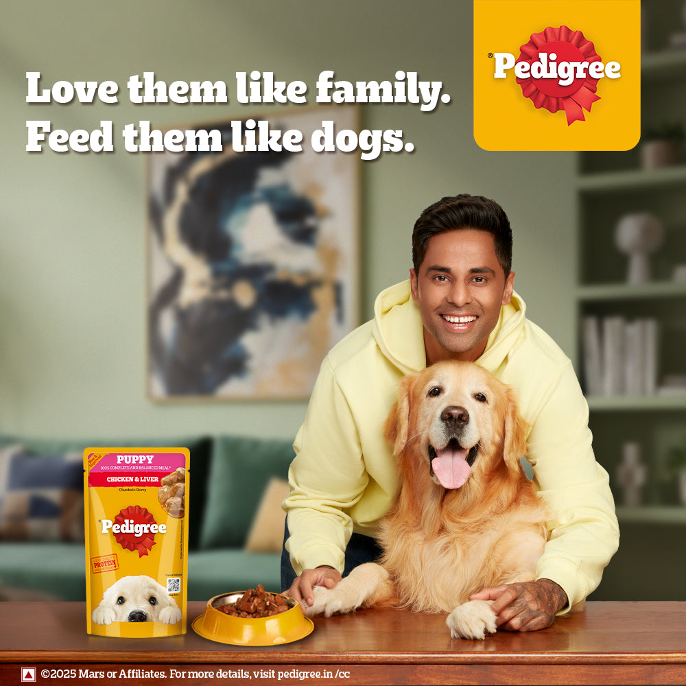 Pedigree Chicken & Liver Chunks In Gravy Puppy Wet Food - 130 g