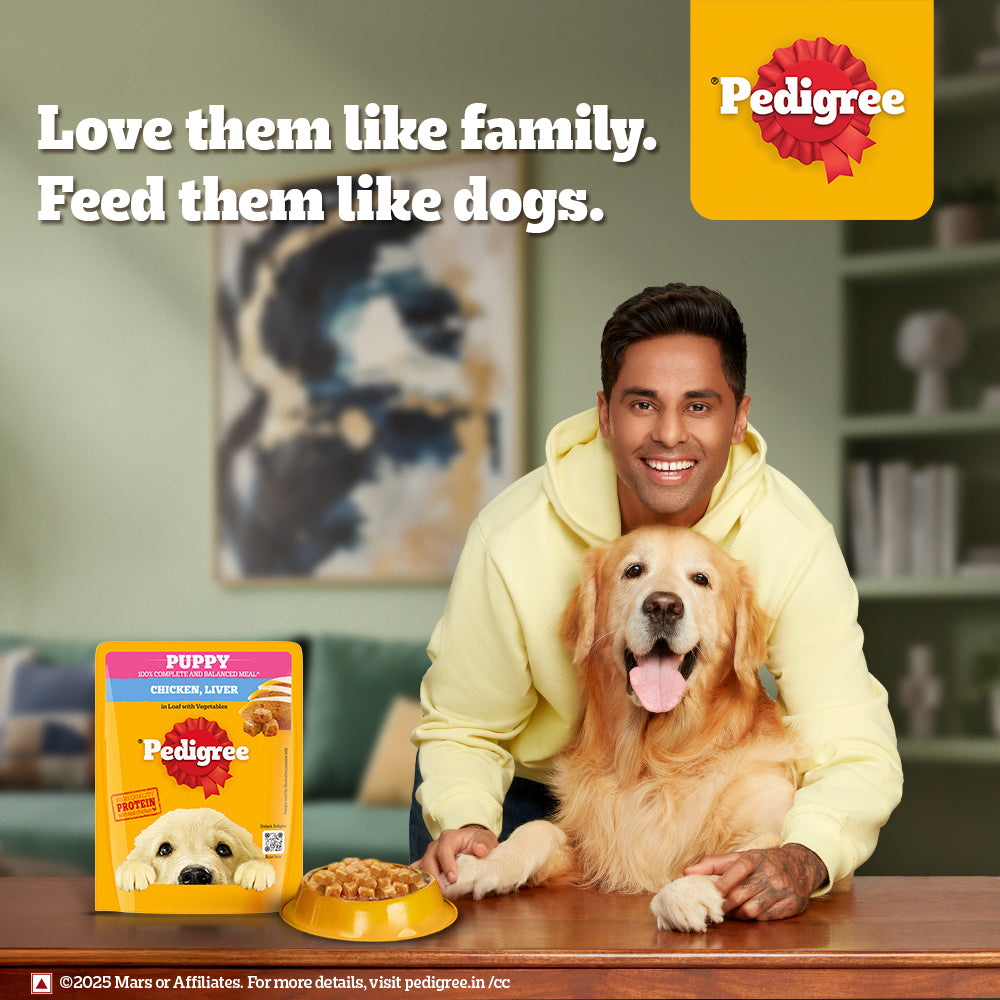 Pedigree Chicken Liver In Loaf With Vegetables Puppy Wet Food - 70 gm Packs - Heads Up For Tails