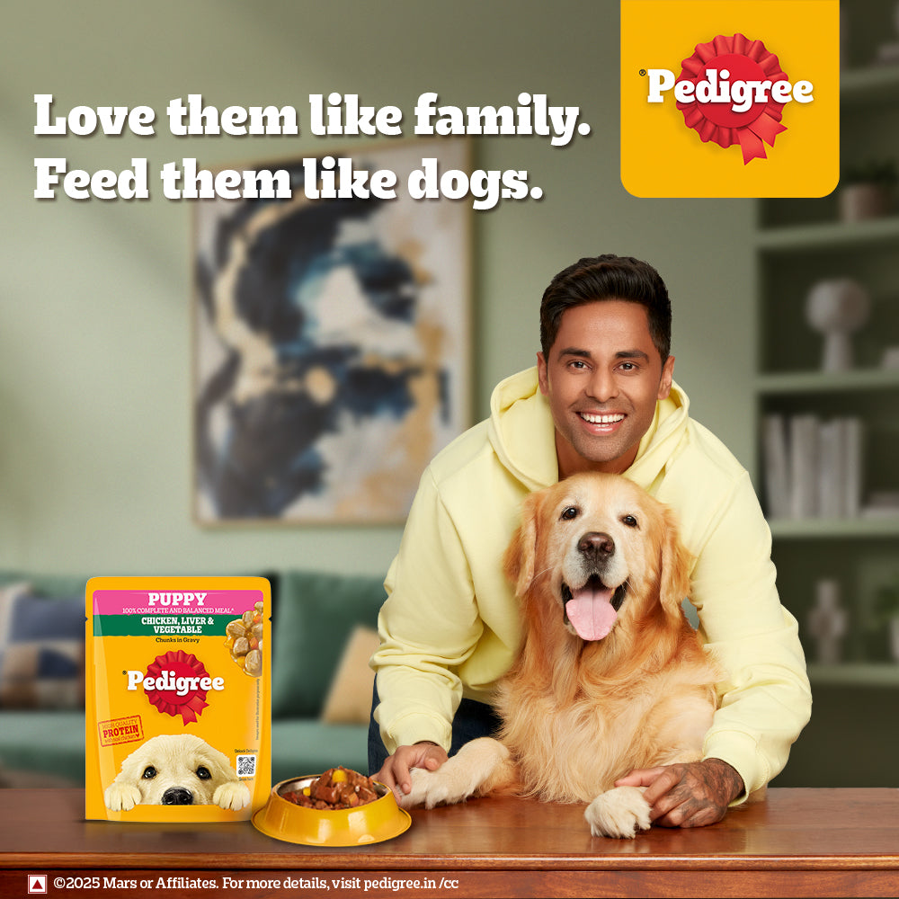 Pedigree Chicken & Liver Chunks in Gravy with Vegetables Wet Puppy Food - 70Gm Packs - Heads Up For Tails