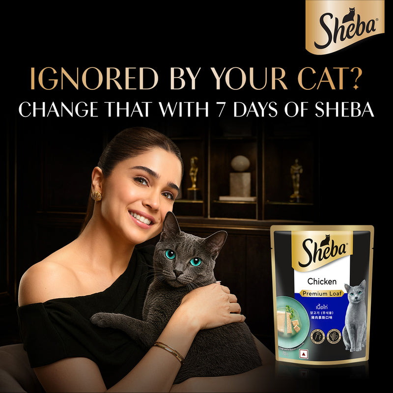 Sheba Rich Chicken Premium Loaf Adult Wet Cat Food - 70 gm Packs