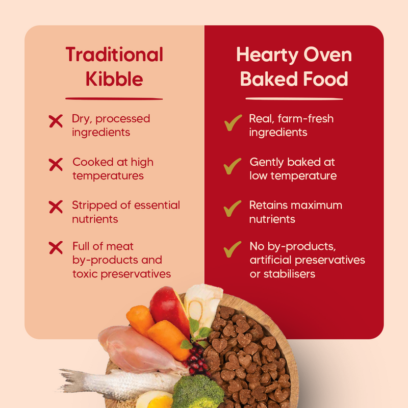 Hearty Oven-Baked Puppy Food by Heads Up for Tails, Chicken & Fish with Superfoods, 250g, suitable for all breeds.