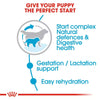Royal Canin Giant Starter Dry Dog Food - Heads Up For Tails