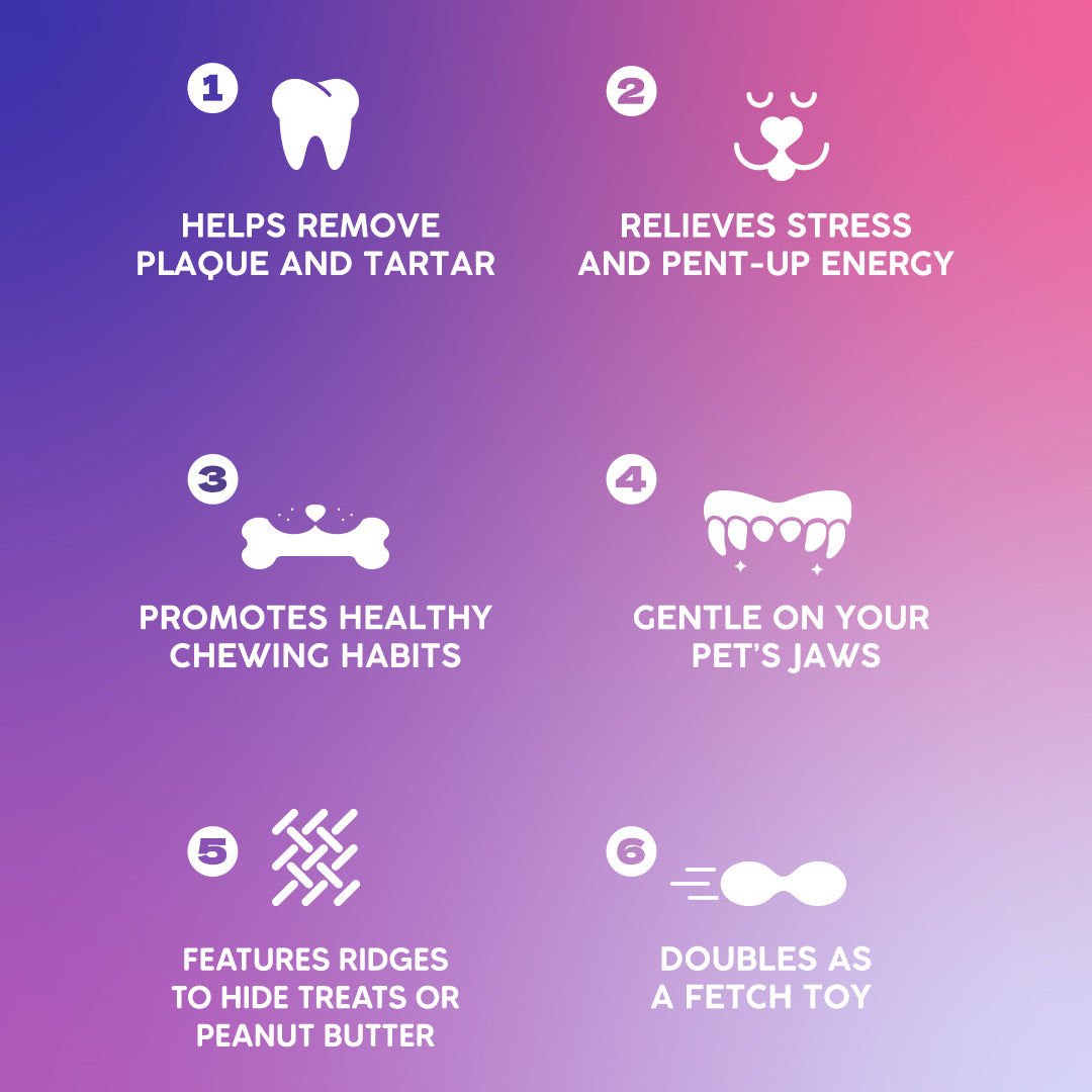 Dash Dog Bone Amigo Chew Toy For Dog - Purple & Blue - Heads Up For Tails