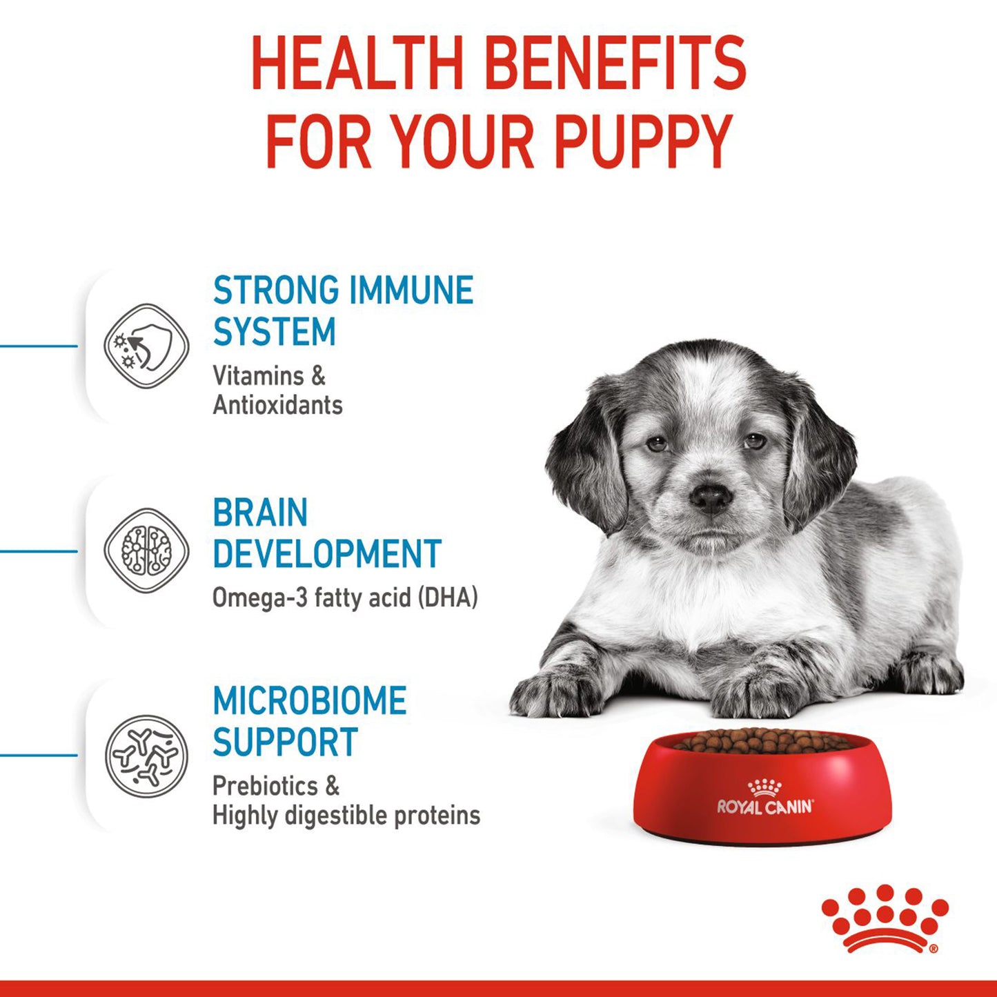 Royal Canin Medium Puppy Dry Dog Food - Heads Up For Tails
