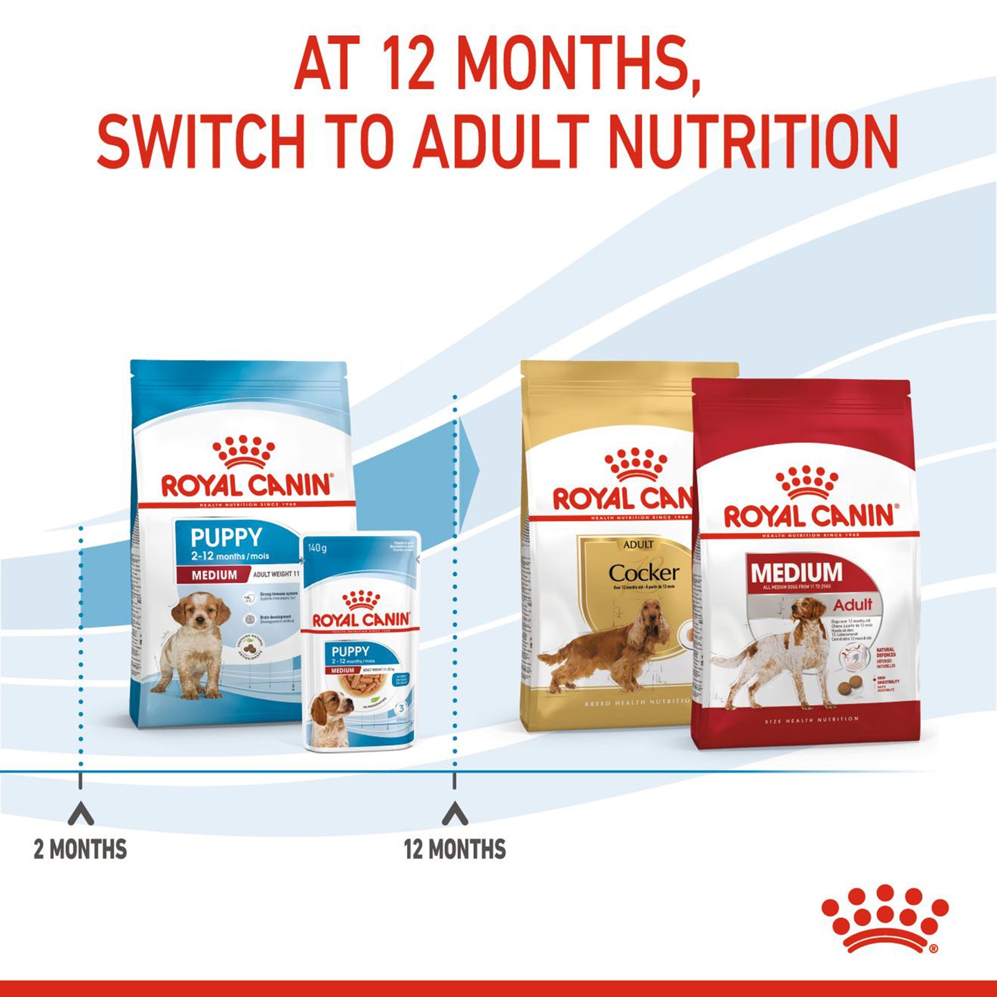 Royal Canin Medium Puppy Dry Dog Food - Heads Up For Tails