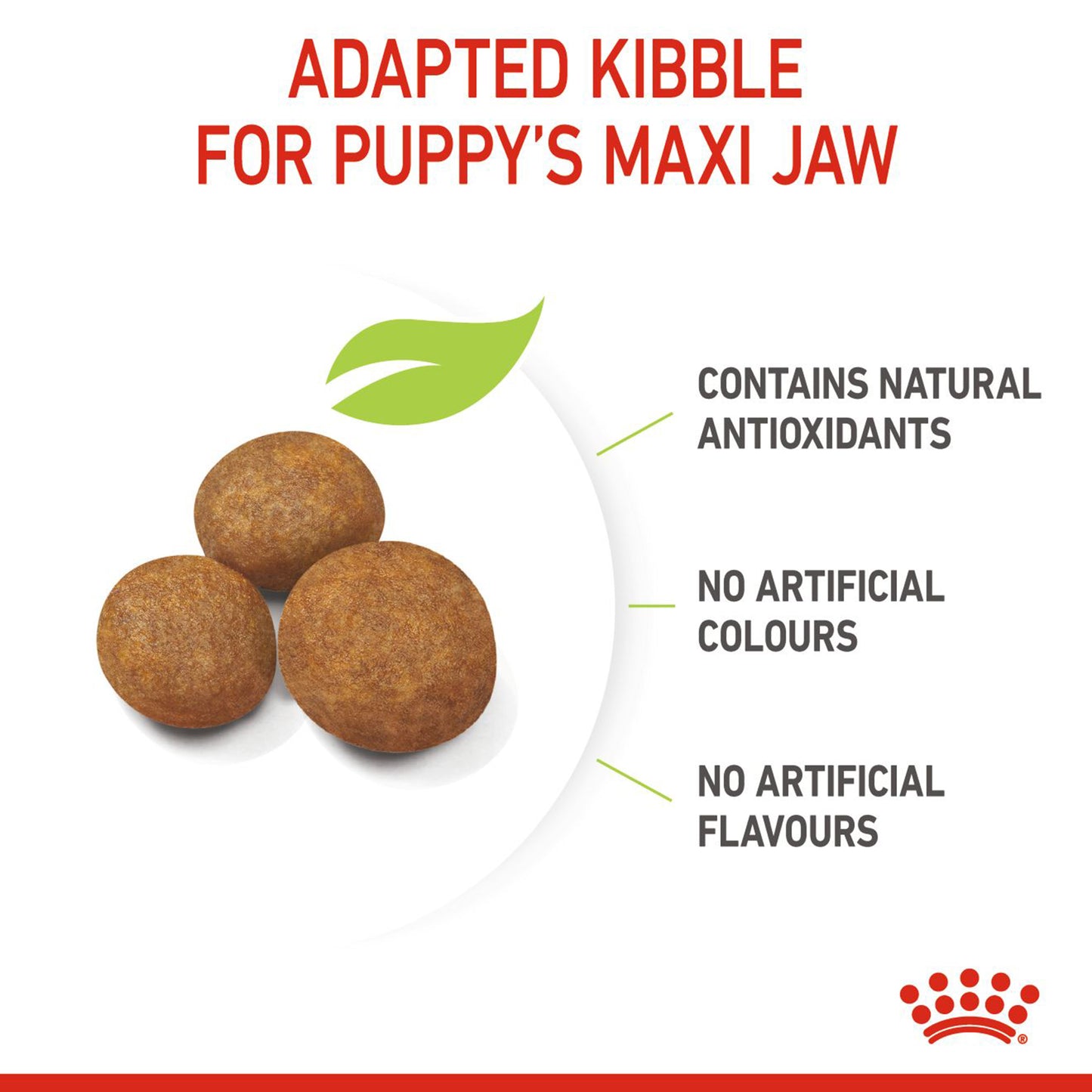 Royal Canin Maxi Puppy Dry Dog Food - Heads Up For Tails