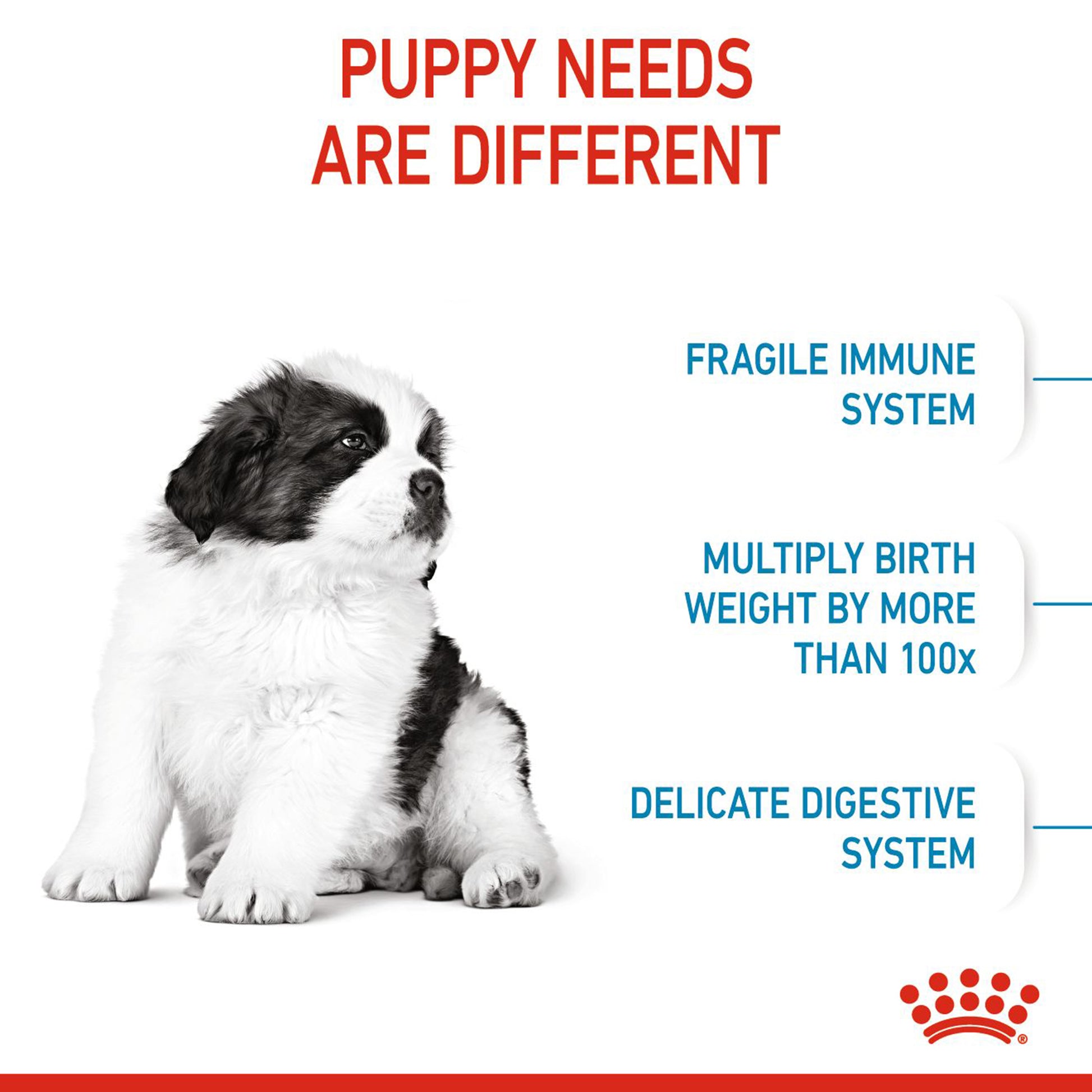 Royal Canin Giant Puppy Dry Dog Food - Heads Up For Tails