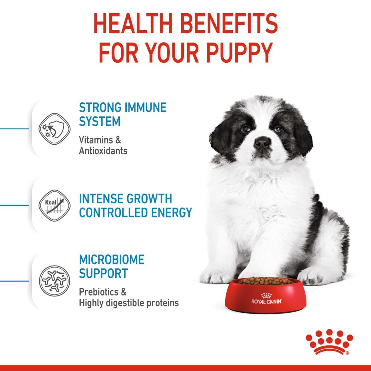 Royal Canin Giant Puppy Dry Dog Food - Heads Up For Tails