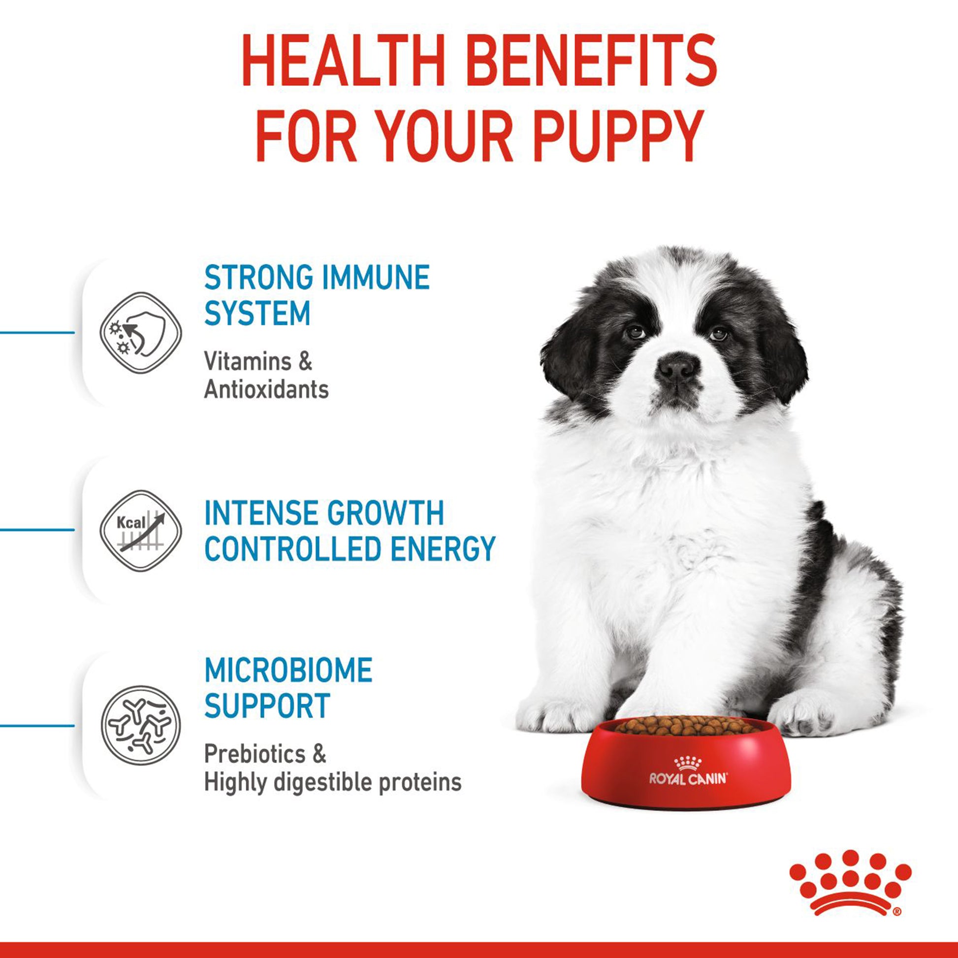 Royal Canin Giant Puppy Dry Dog Food - Heads Up For Tails