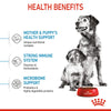 Royal Canin Medium Starter Dry Dog Food - Heads Up For Tails