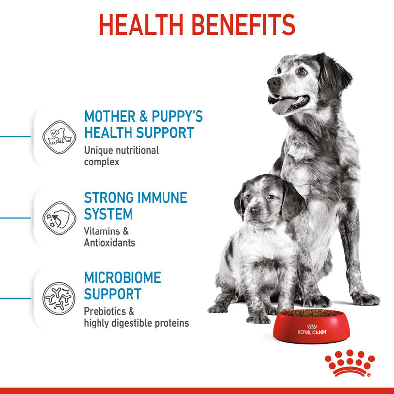 Royal Canin Medium Starter Dry Dog Food - Heads Up For Tails
