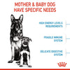 Royal Canin Maxi Starter Dry Dog Food - Heads Up For Tails