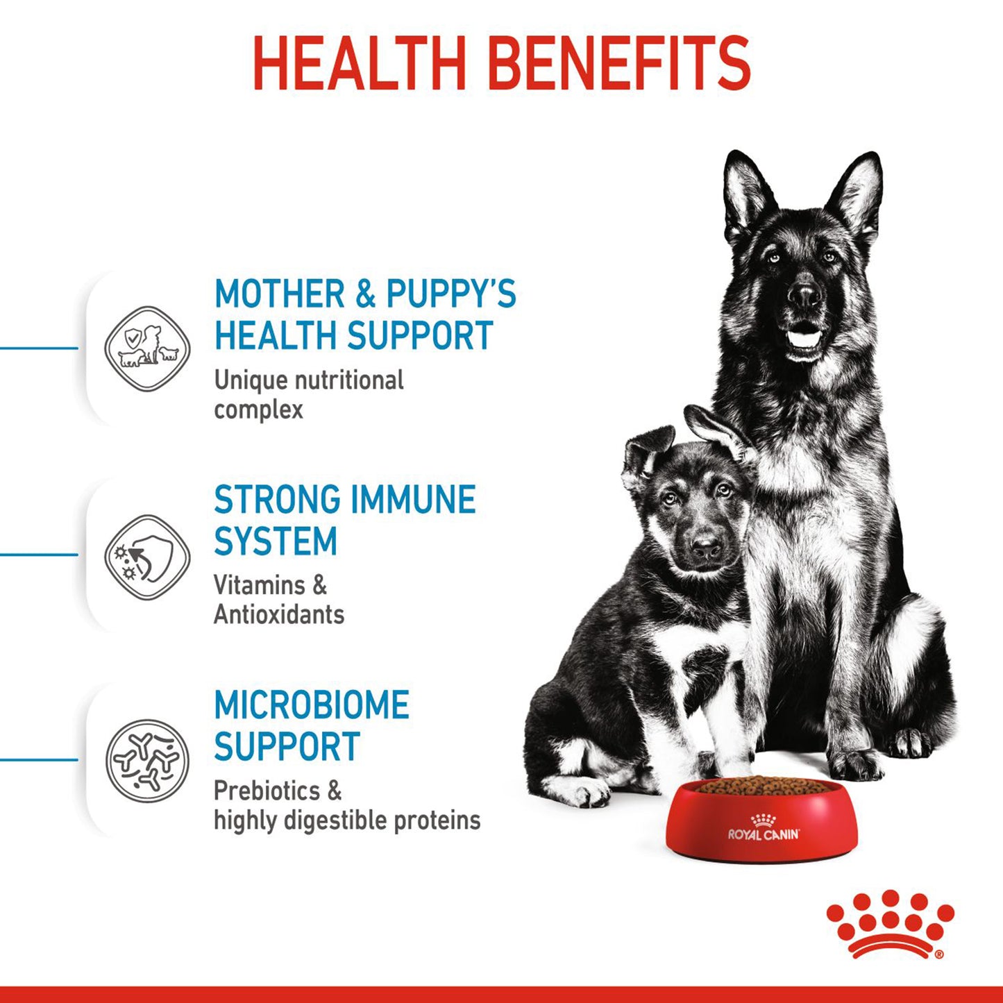 Royal Canin Maxi Starter Dry Dog Food - Heads Up For Tails