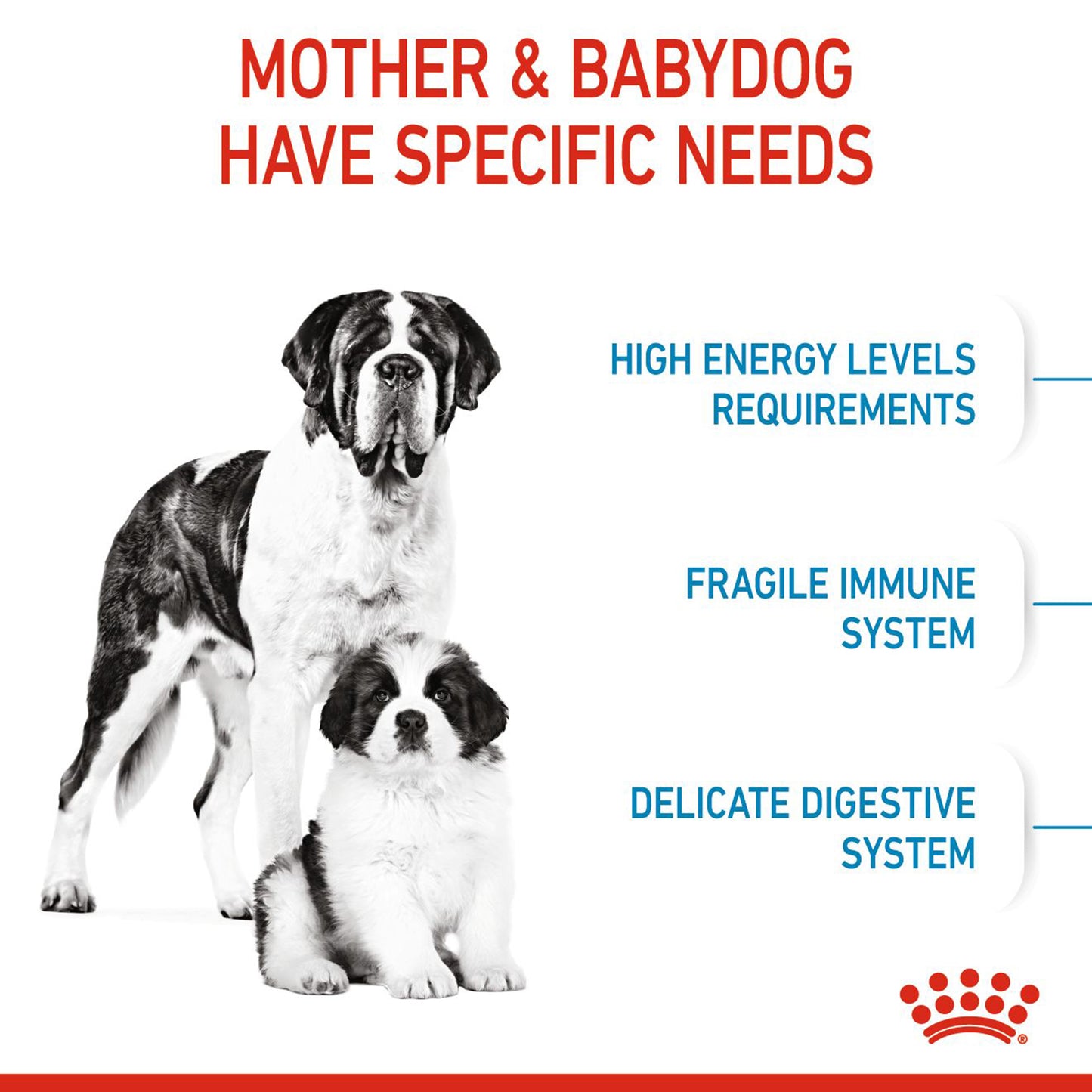 Royal Canin Giant Starter Dry Dog Food - Heads Up For Tails